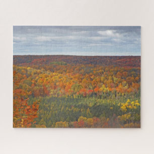 WALD VON BÄUMEN MIT HERBSTFARBEN PUZZLE