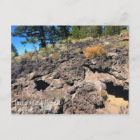 Wald von Lava, Oregon