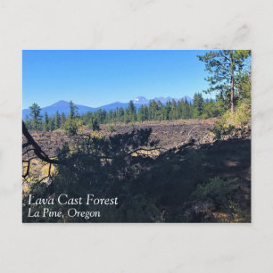Wald von Lava, Oregon Postkarte