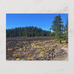 Wald von Lava, Oregon Postkarte