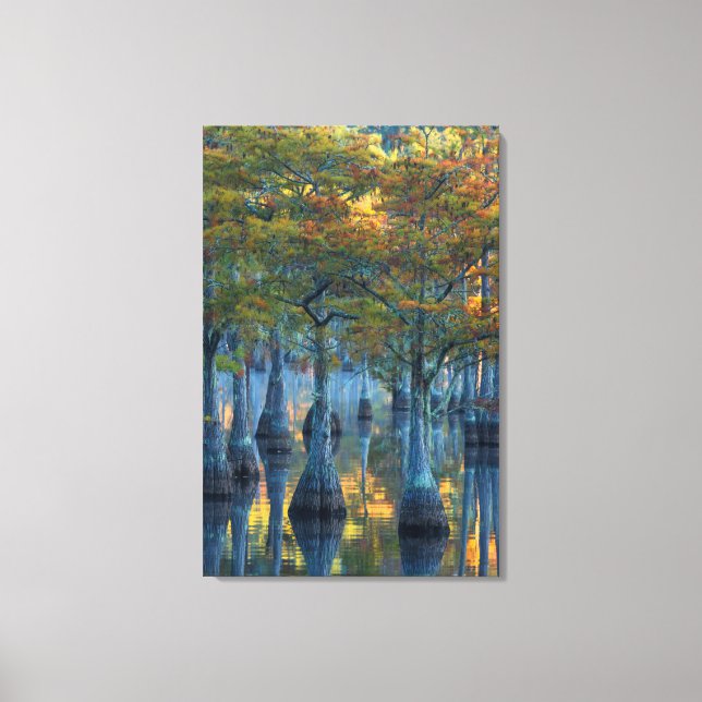 Wald von Pond Cypress Trees Leinwanddruck (Vorderseite)