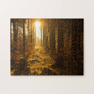Wald während Herbstes Baden Württemberg, Puzzle