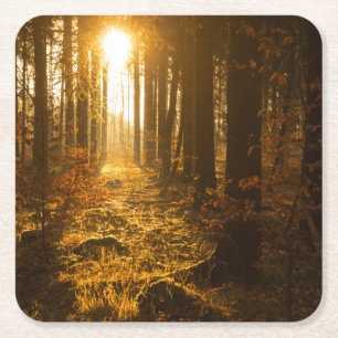 Wald während Herbstes Baden Württemberg, Rechteckiger Pappuntersetzer