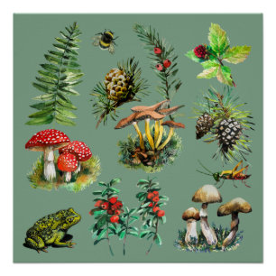 Wald, wilde Pilze Poster