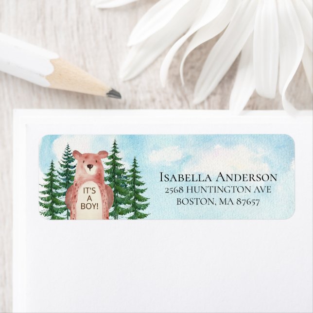 Waldabenteuerbär Es ist ein Junge (Insitu)