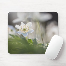 Waldanemone Nature Foto Mousepad