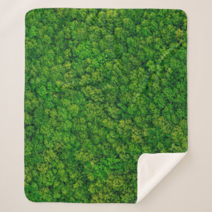 Waldansicht von oben, Luftansicht mit Kopie  Sherpadecke