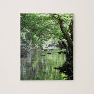 Waldbach puzzle