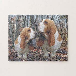 WaldBasset Puzzle