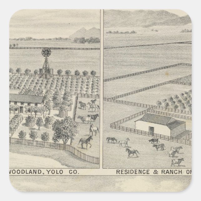 Waldbauholzfirma Quadratischer Aufkleber (Vorderseite)