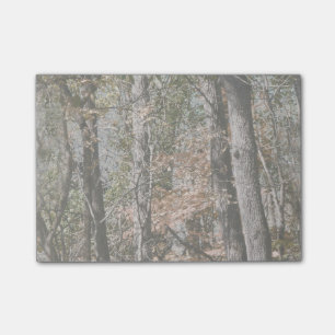 Waldbaum Camouflage Camouflage Nature Jagd/Fischer Post-it Klebezettel