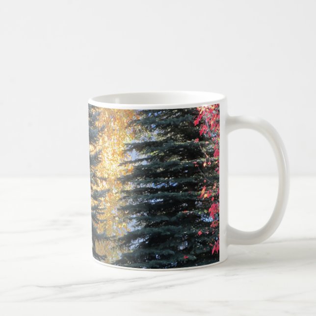 Waldbäume an einem sonnigen Tag Kaffeetasse (Rechts)