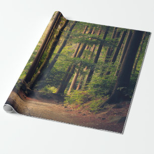 WALDBÄUME GESCHENKPAPIER