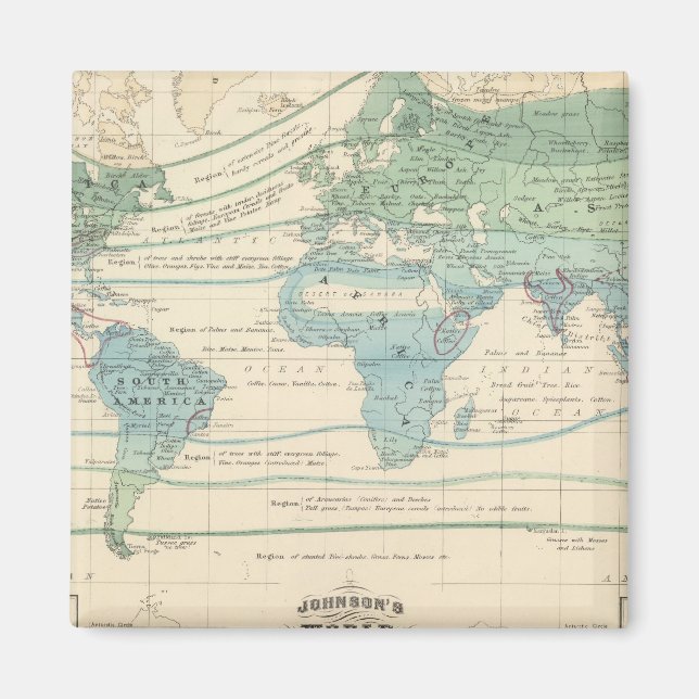 Waldbäume, nützliche Pflanze und Mineralien Magnet (Vorne)