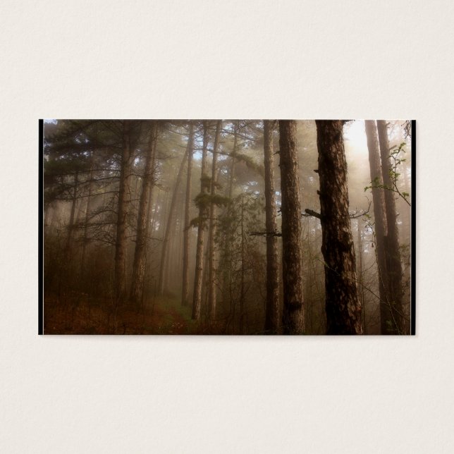 Waldbaumen Naturlandschaft (Vorderseite)