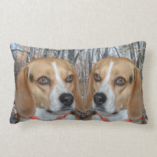 WaldBeagles Lendenkissen