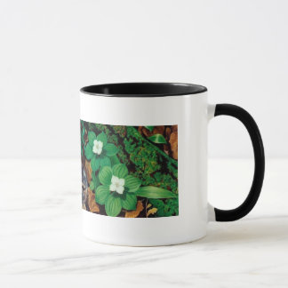 Waldboden/Baby-Kaninchen-Tasse Tasse