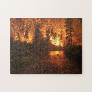 Waldbrand - Rotwild Puzzle