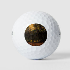 Waldbrände (von Laszlo Mednyanszky) Golfball