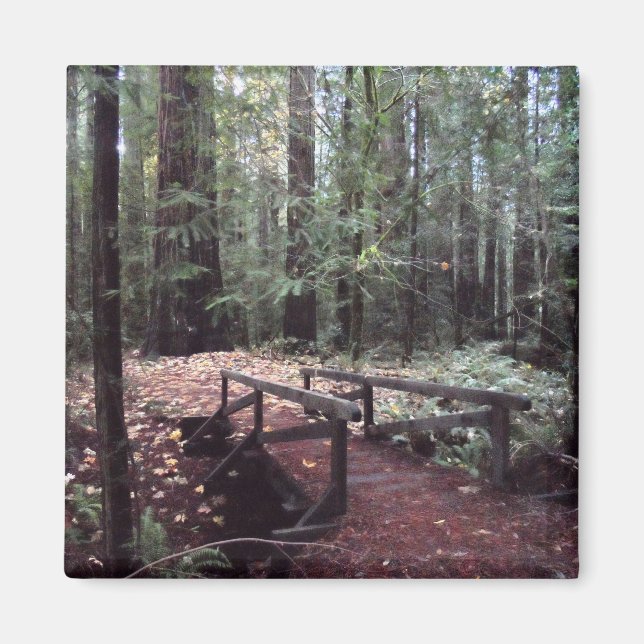 Waldbrücke - Humboldt Redwoods Staat Park Magnet (Vorne)