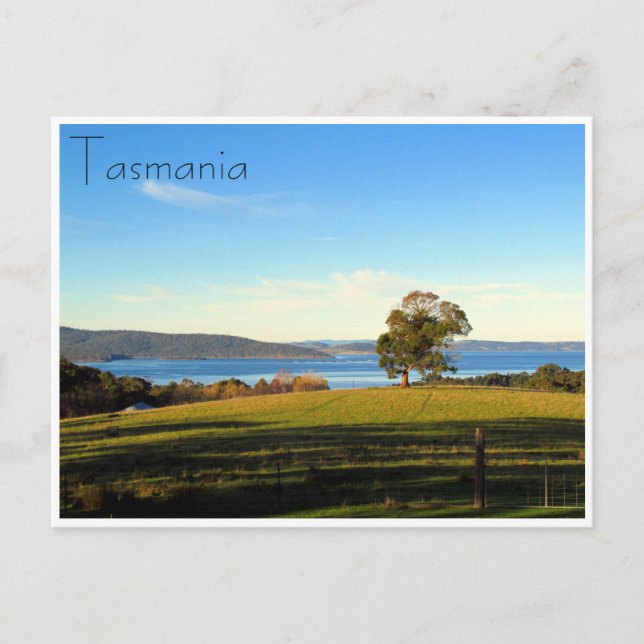 Waldbrücke Postkarte (Vorderseite)