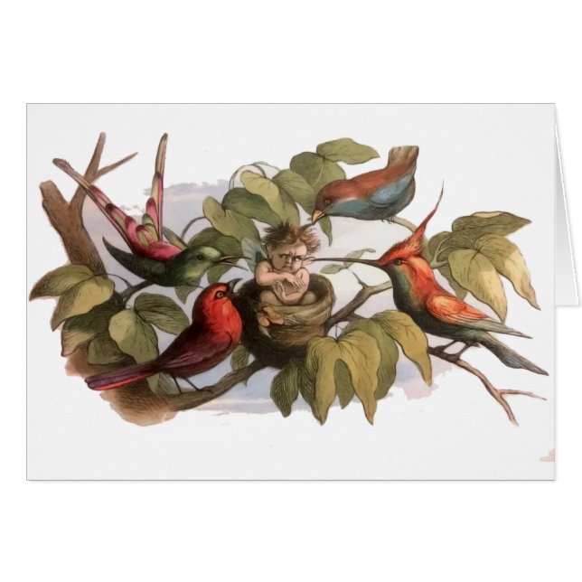 Waldelf im Nest: Antique Bird Sprite Fairy (Vorderseite (Horizontal))