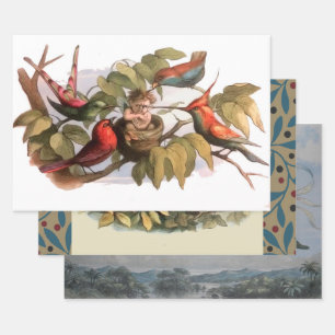 Waldelf im Nest: Antique Bird Sprite Fairy Geschenkpapier Set