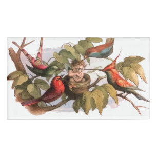Waldelf im Nest: Antique Bird Sprite Fairy Namenschild