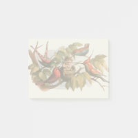 Waldelf im Nest: Antique Bird Sprite Fairy