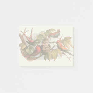 Waldelf im Nest: Antique Bird Sprite Fairy Post-it Klebezettel