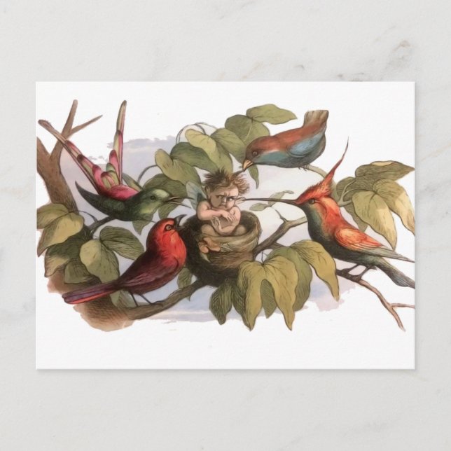 Waldelf im Nest: Antique Bird Sprite Fairy Postkarte (Vorderseite)