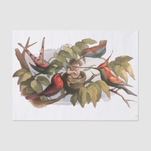 Waldelf im Nest: Antique Bird Sprite Fairy Seidenpapier (Vorderseite)