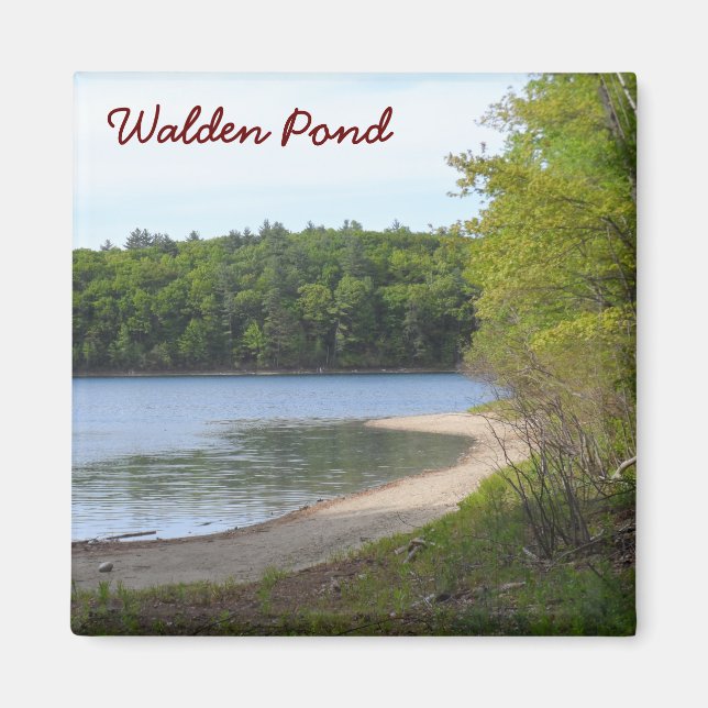 Walden Pond, Concord, MA Magnet (Vorne)