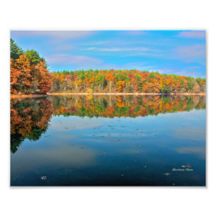 Walden Pond Foto Print