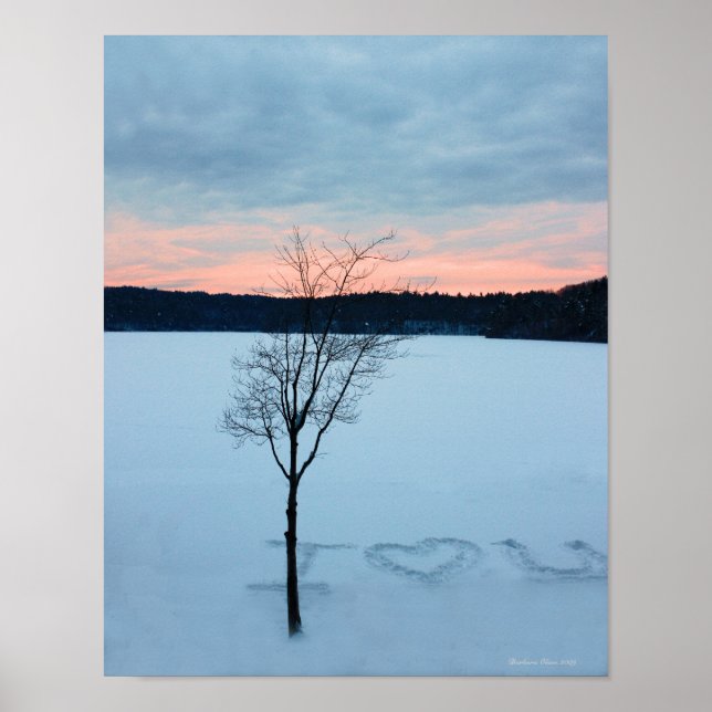 Walden Pond I Liebe U: Winter Liebe Poster (Vorne)