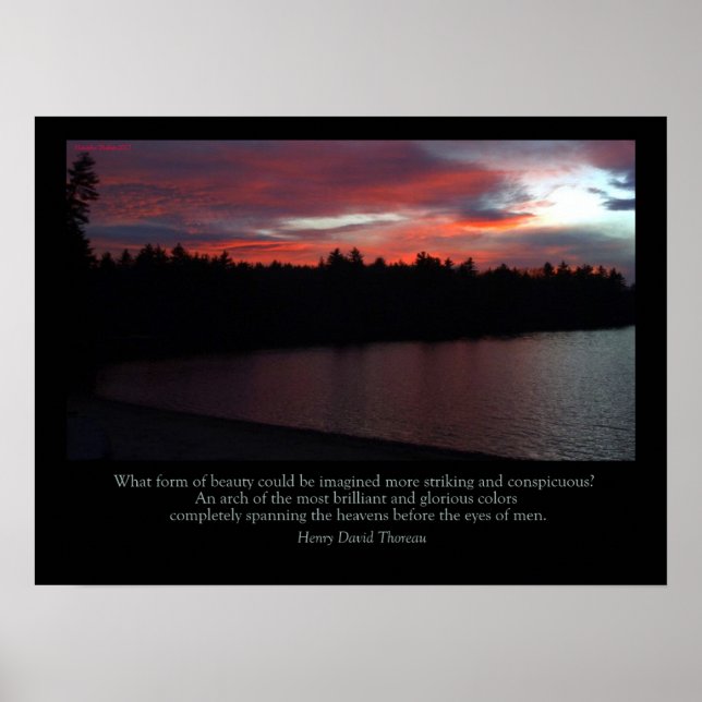 Walden Pond Poster - Liebe Hinweis zum Himmel (Vorne)