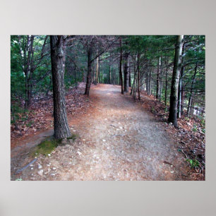 Walden Pond Trail Print Poster