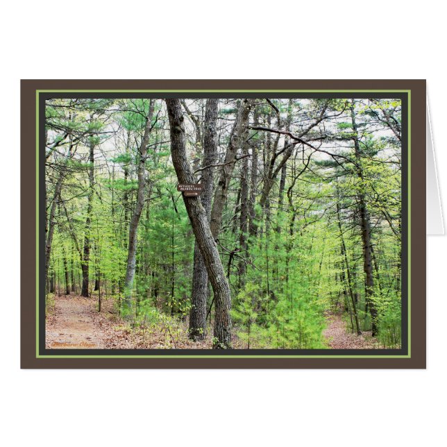Walden Teich: Sauntering durch das Holz (Vorderseite (Horizontal))