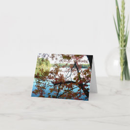 Waldenteich durch Herbstleaale