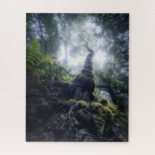 Wälder   Anaga Rural Park Kanarische Inseln Puzzle