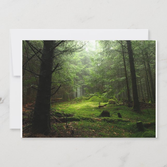 Wälder | Auvergne Frankreich Dankeskarte (Vorderseite)