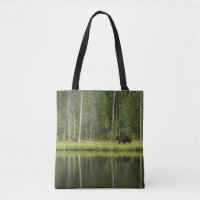 Wälder | Bären in Taiga Forest Nord Finnland