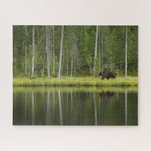 Wälder Bären in Taiga Forest Nord Finnland Puzzle
