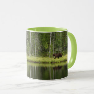 Wälder   Bären in Taiga Forest Nord Finnland Tasse