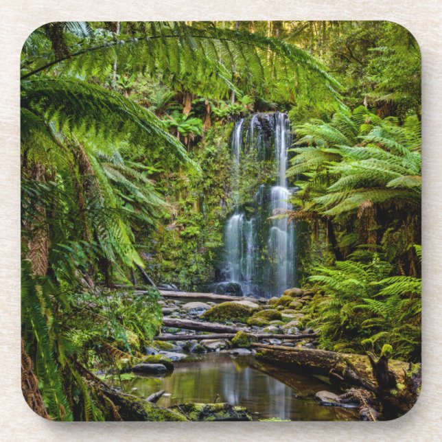 Wälder | Beauchamp Falls Australien Getränkeuntersetzer (Vorderseite)