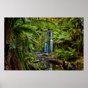 Wälder   Beauchamp Falls Australien Poster