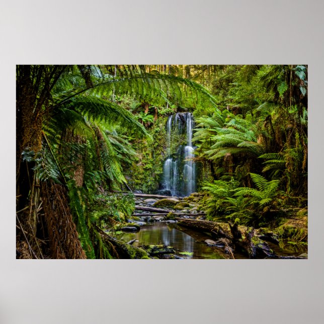 Wälder | Beauchamp Falls Australien Poster (Vorne)