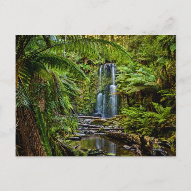 Wälder | Beauchamp Falls Australien Postkarte (Vorderseite)