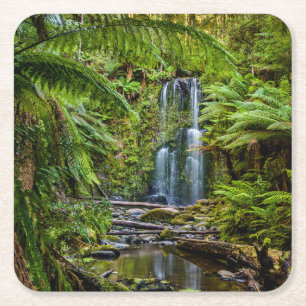 Wälder   Beauchamp Falls Australien Rechteckiger Pappuntersetzer