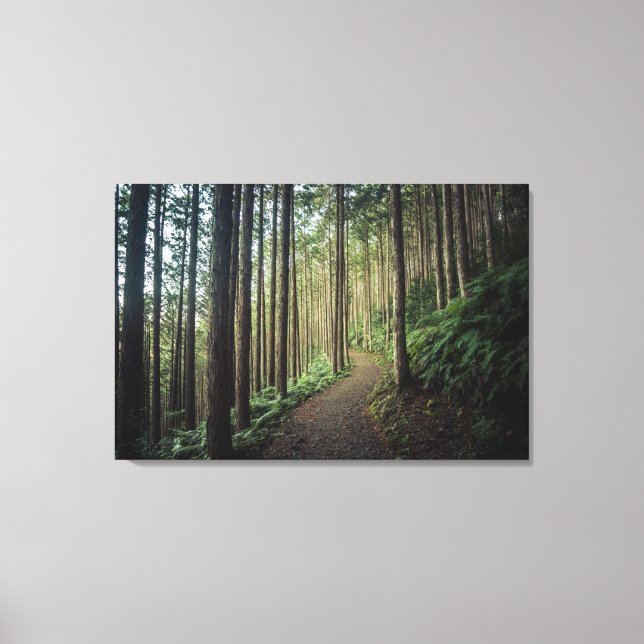 Wälder | Berge Wakayama Japan Leinwanddruck (Vorderseite)